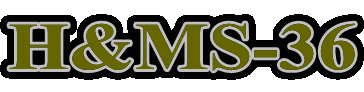 H&MS-36