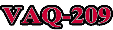 VAQ-209